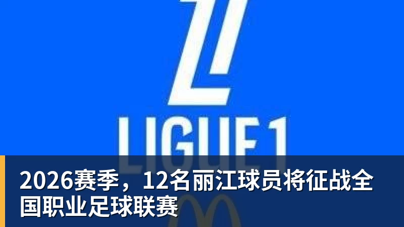 单届世界杯前两场淘汰赛均打进至少3球,比利时是2010年以来首队 - 好博体育 - 好博(中国)一站式服务官方网站